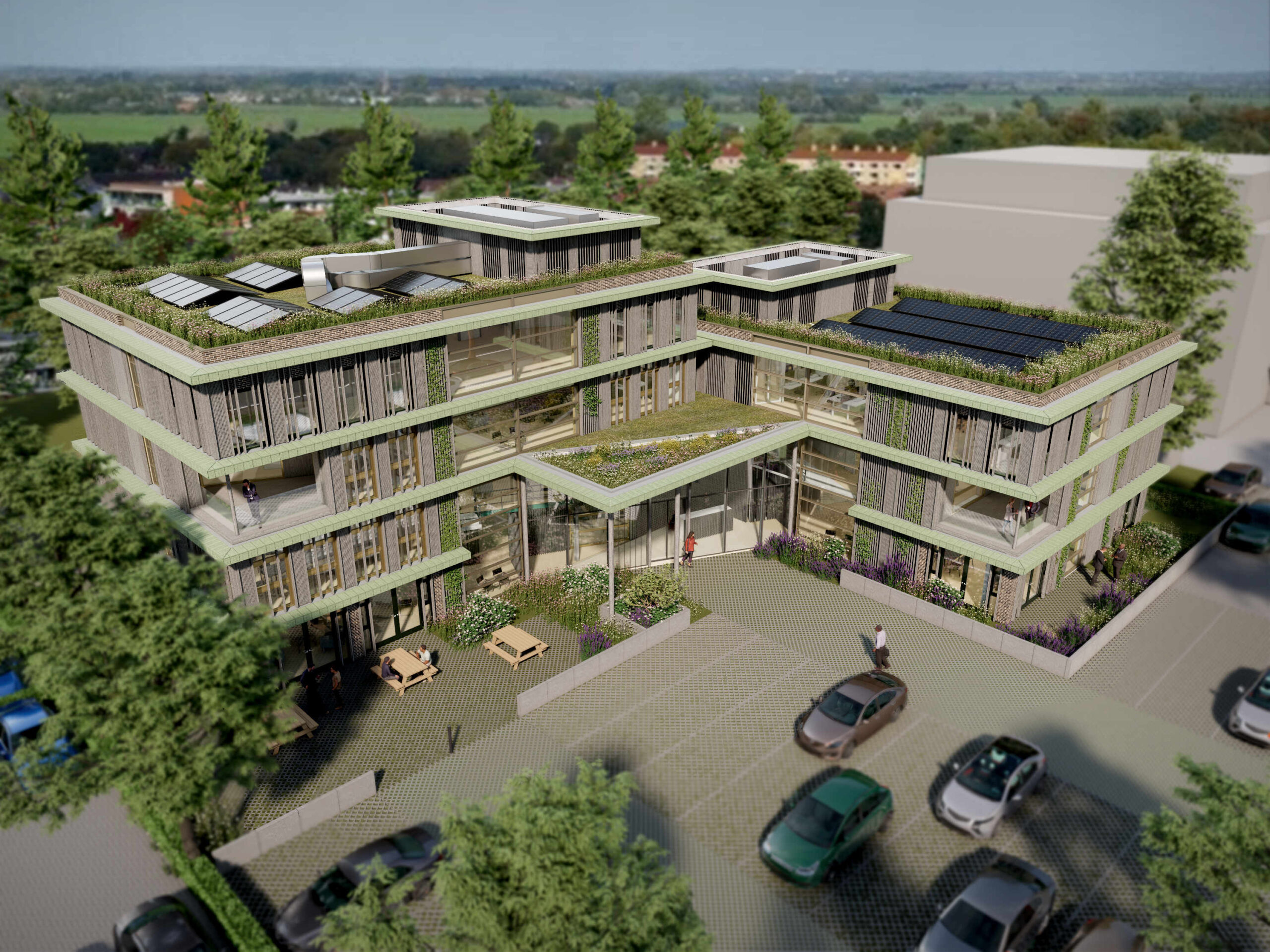 DO-A overzicht vergrijsd hout