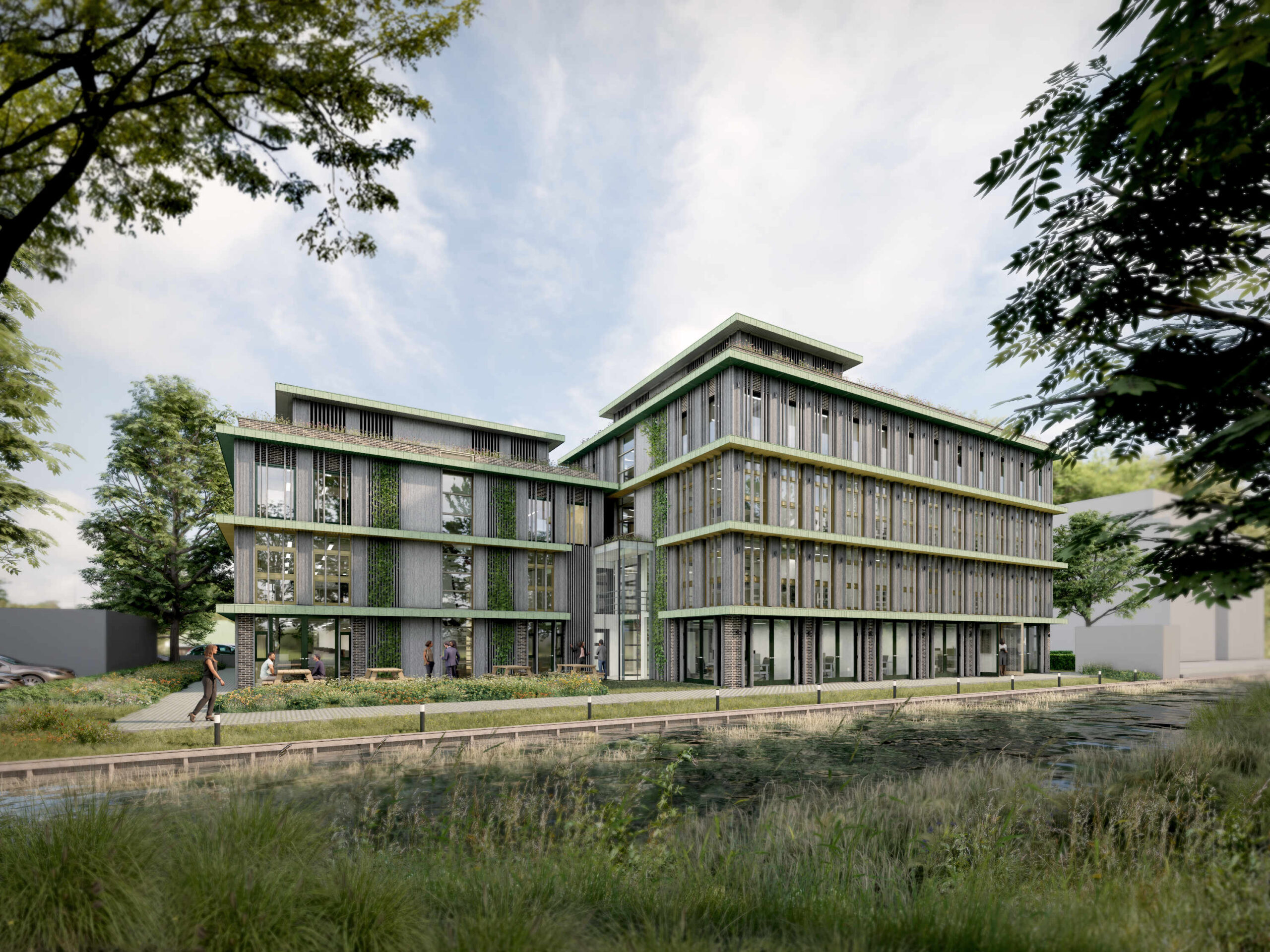 DO-A vergrijsd hout 01